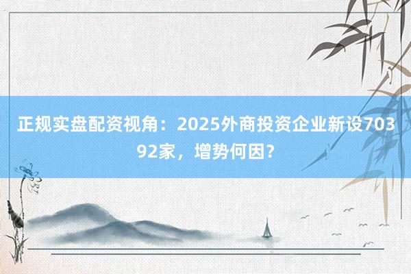 正规实盘配资视角：2025外商投资企业新设70392家，增势何因？