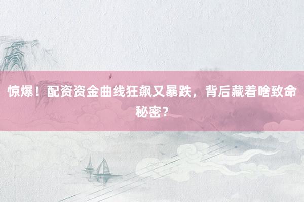 惊爆！配资资金曲线狂飙又暴跌，背后藏着啥致命秘密？