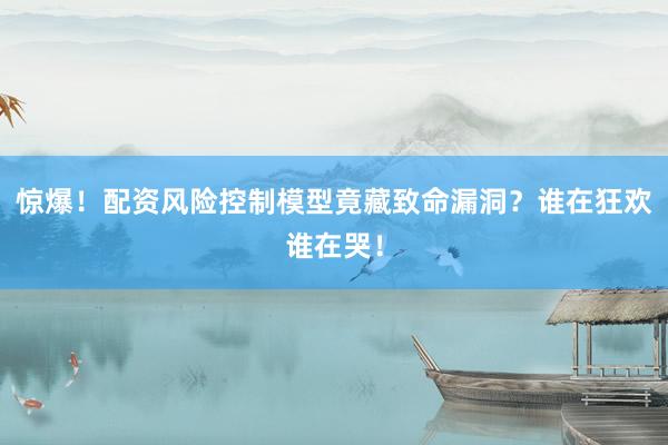 惊爆！配资风险控制模型竟藏致命漏洞？谁在狂欢谁在哭！