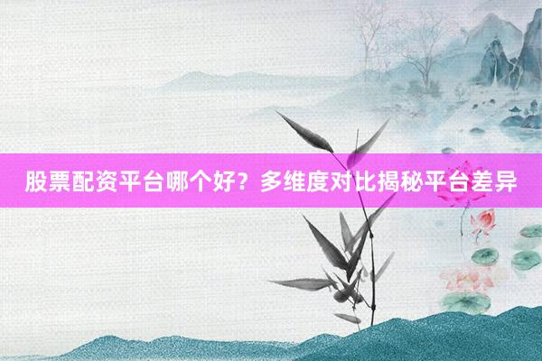 股票配资平台哪个好？多维度对比揭秘平台差异