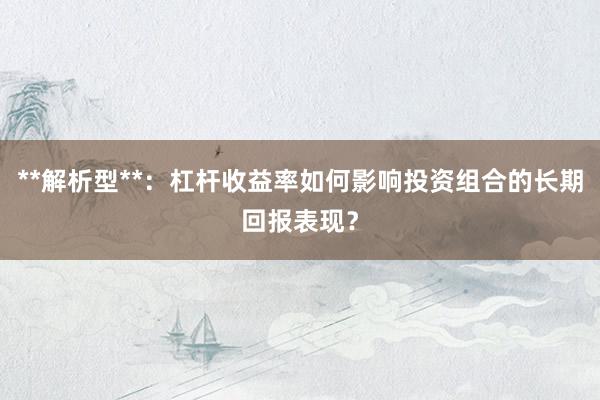 **解析型**：杠杆收益率如何影响投资组合的长期回报表现？