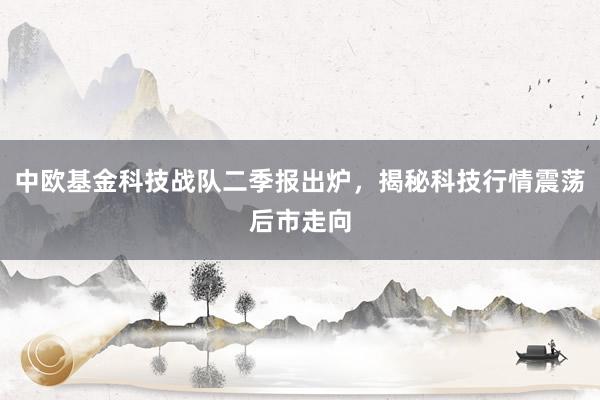 中欧基金科技战队二季报出炉，揭秘科技行情震荡后市走向