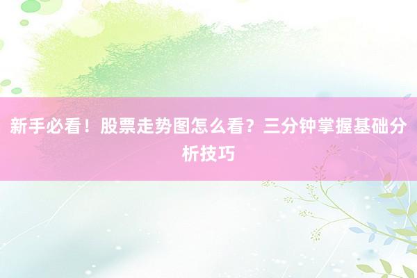 新手必看!股票走势图怎么看?三分钟掌握基础分析技巧