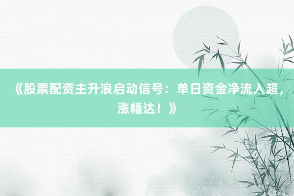《股票配资主升浪启动信号：单日资金净流入超，涨幅达！》