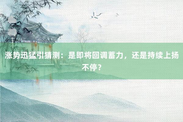 涨势迅猛引猜测：是即将回调蓄力，还是持续上扬不停？