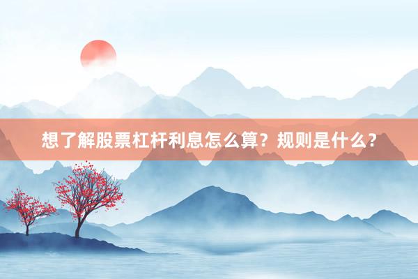 想了解股票杠杆利息怎么算？规则是什么？